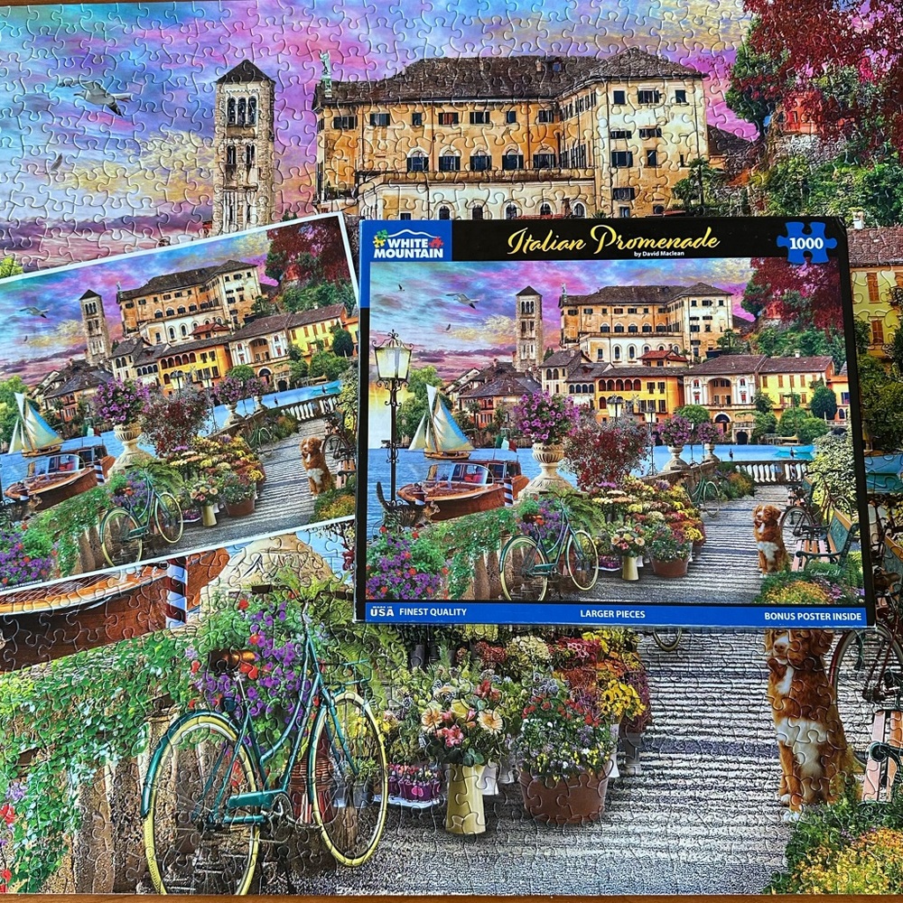 White Mountain Puzzles Italian Promenade by David Maclean 1000 Piece Puzzle 1781